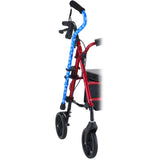 Cane Holder
